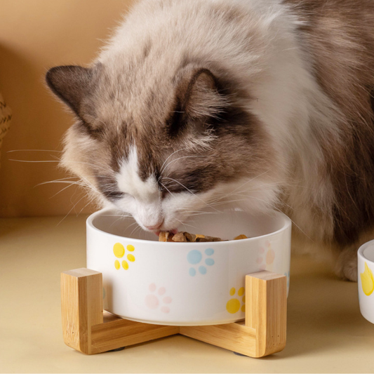 Ceramic with Wood Base Pet Bowl