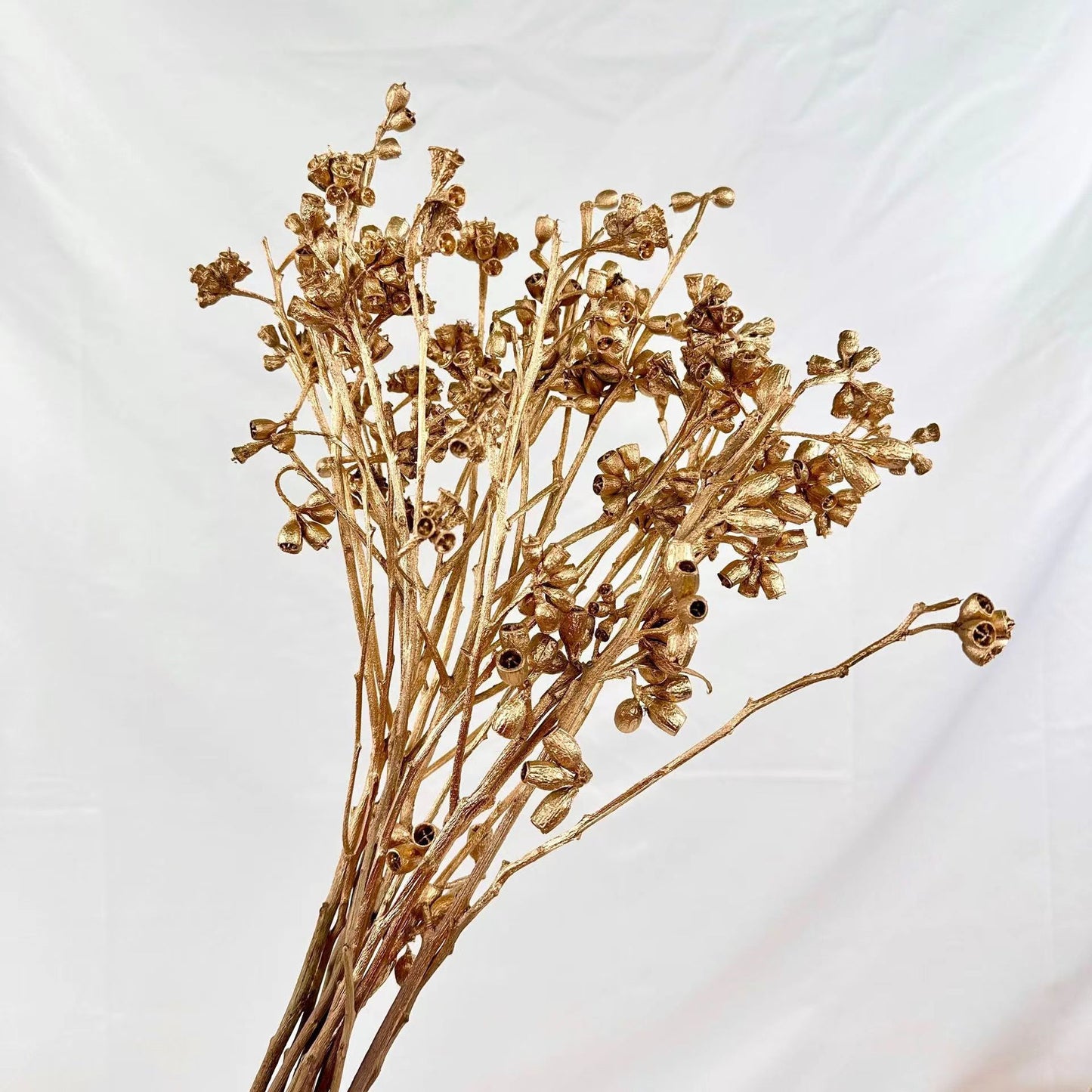Natural Golden Dried Flowers for Home Decor