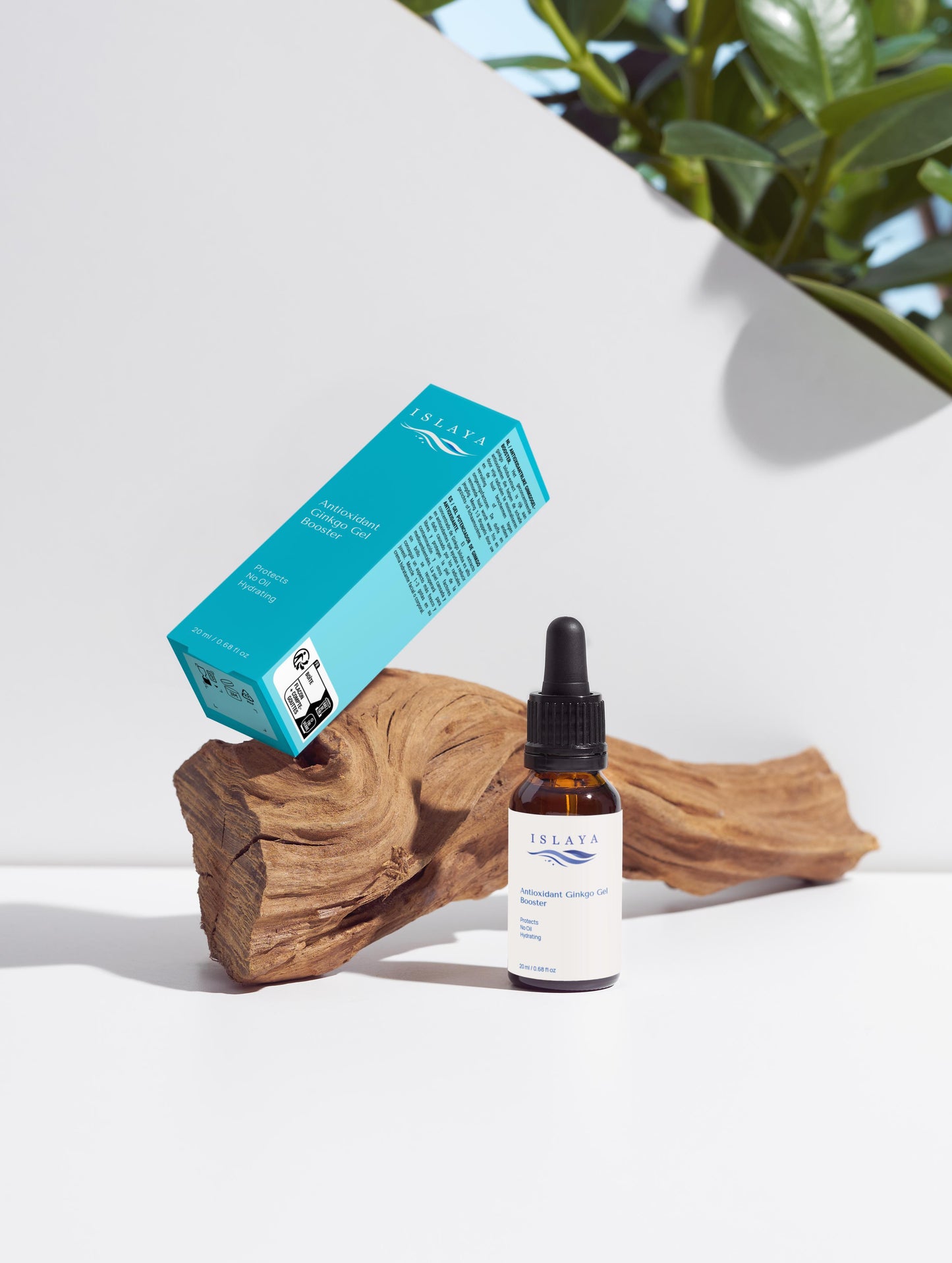 Antioxidant Ginkgo Gel Booster