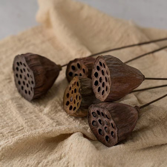 Bouquet of Natural Dried Lotus Flowers