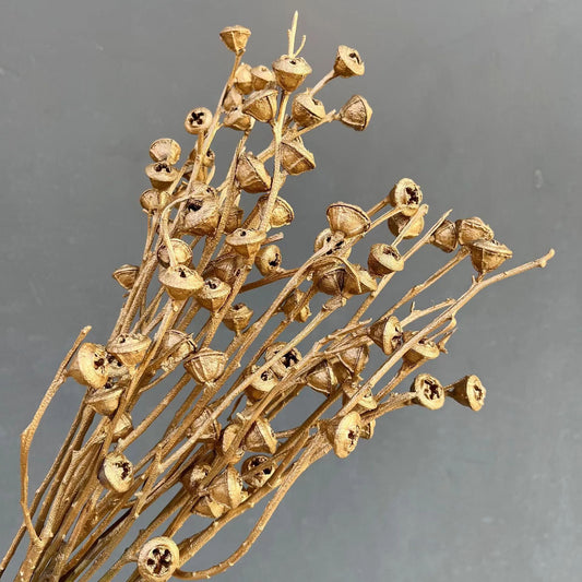 Natural Golden Dried Flowers for Home Decor