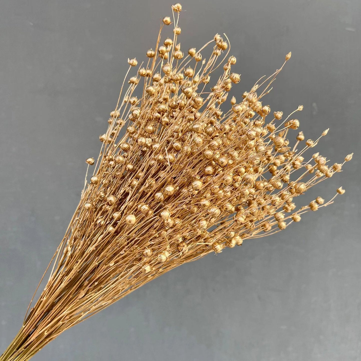 Natural Golden Dried Flowers for Home Decor