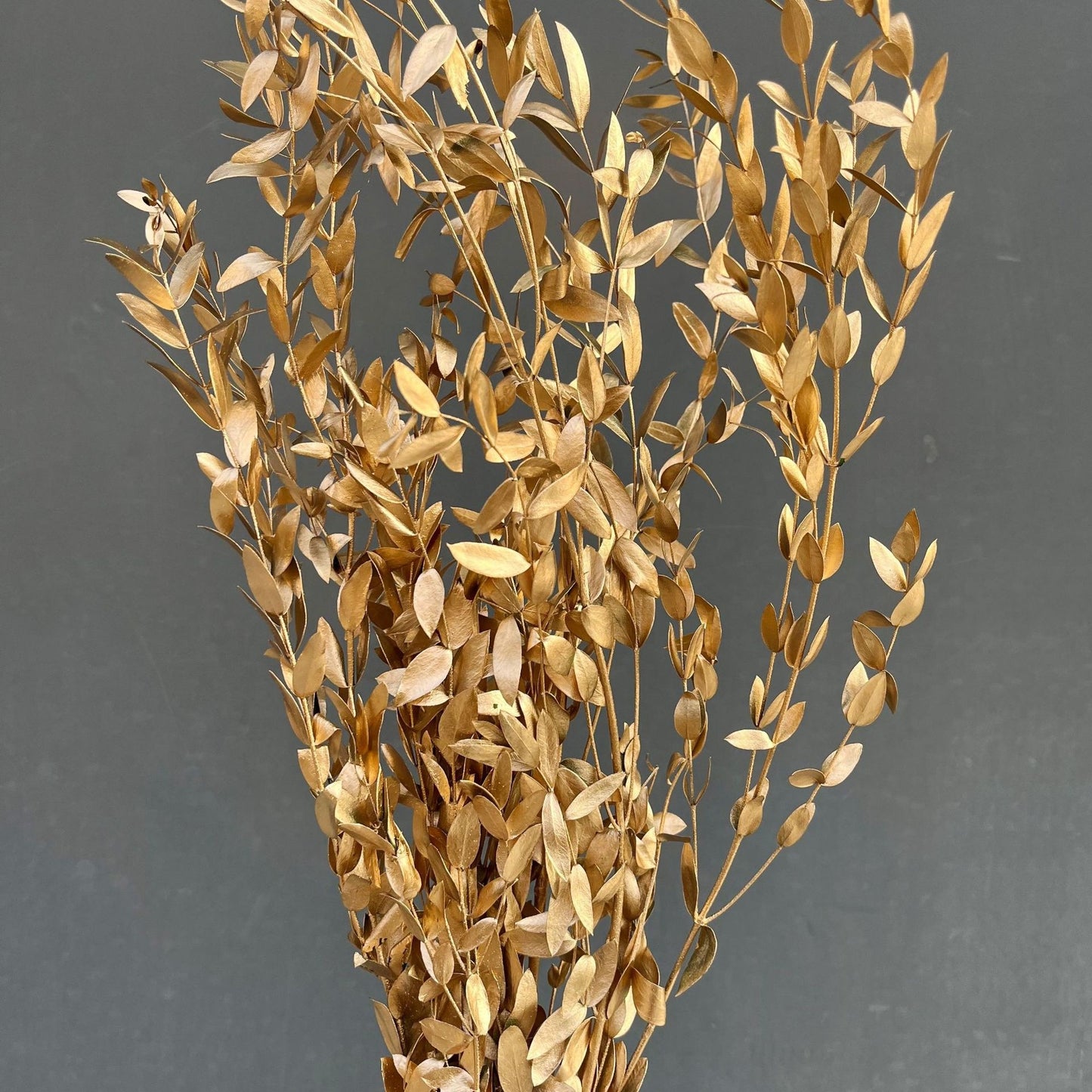 Natural Golden Dried Flowers for Home Decor