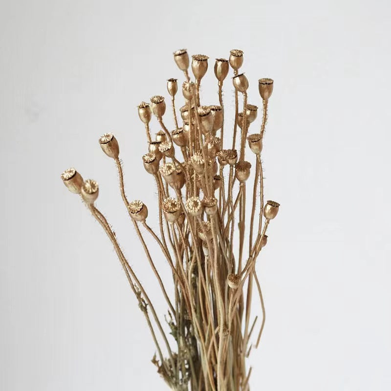 Natural Golden Dried Flowers for Home Decor