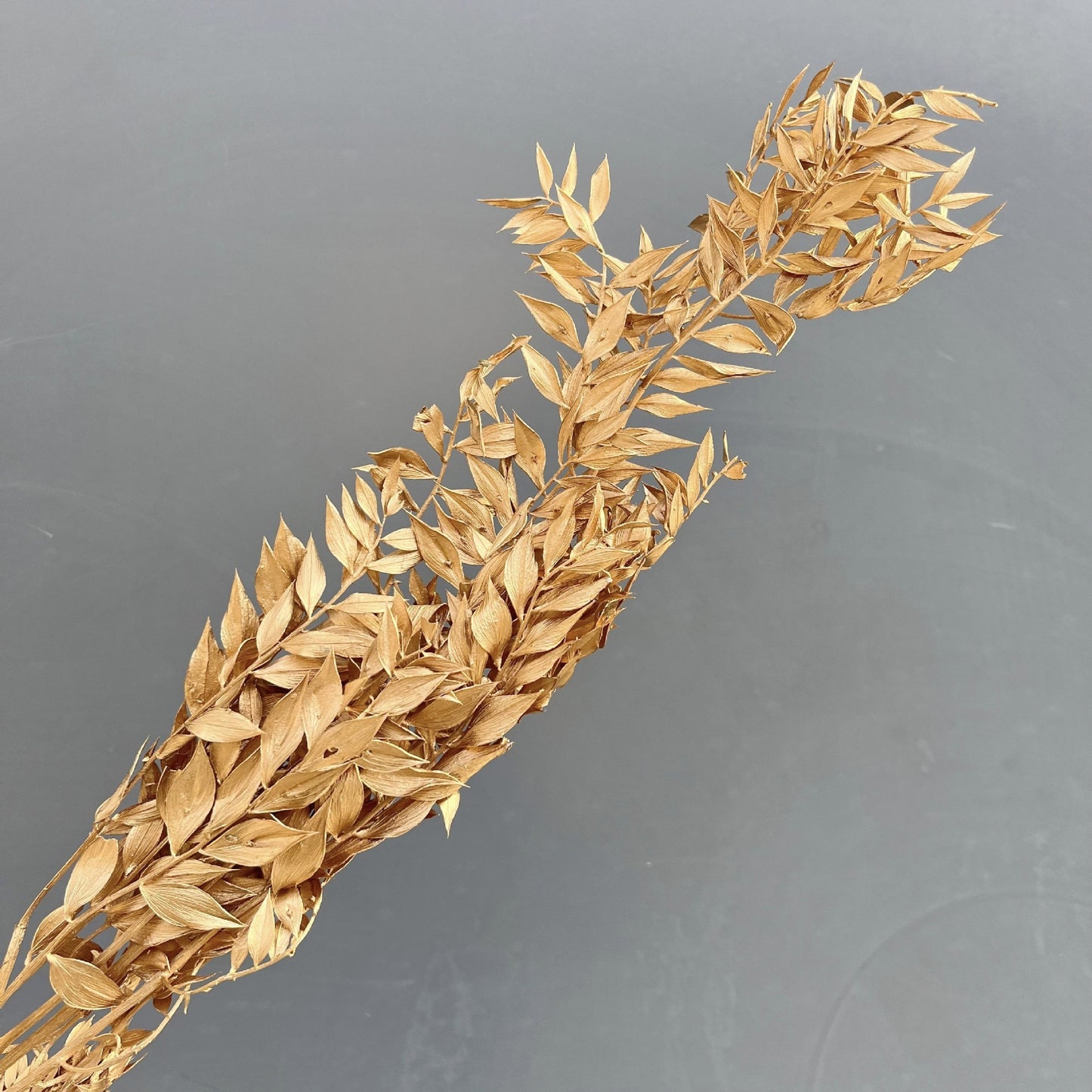 Natural Golden Dried Flowers for Home Decor