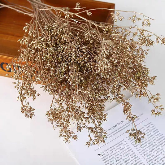 Natural Golden Dried Flowers for Home Decor