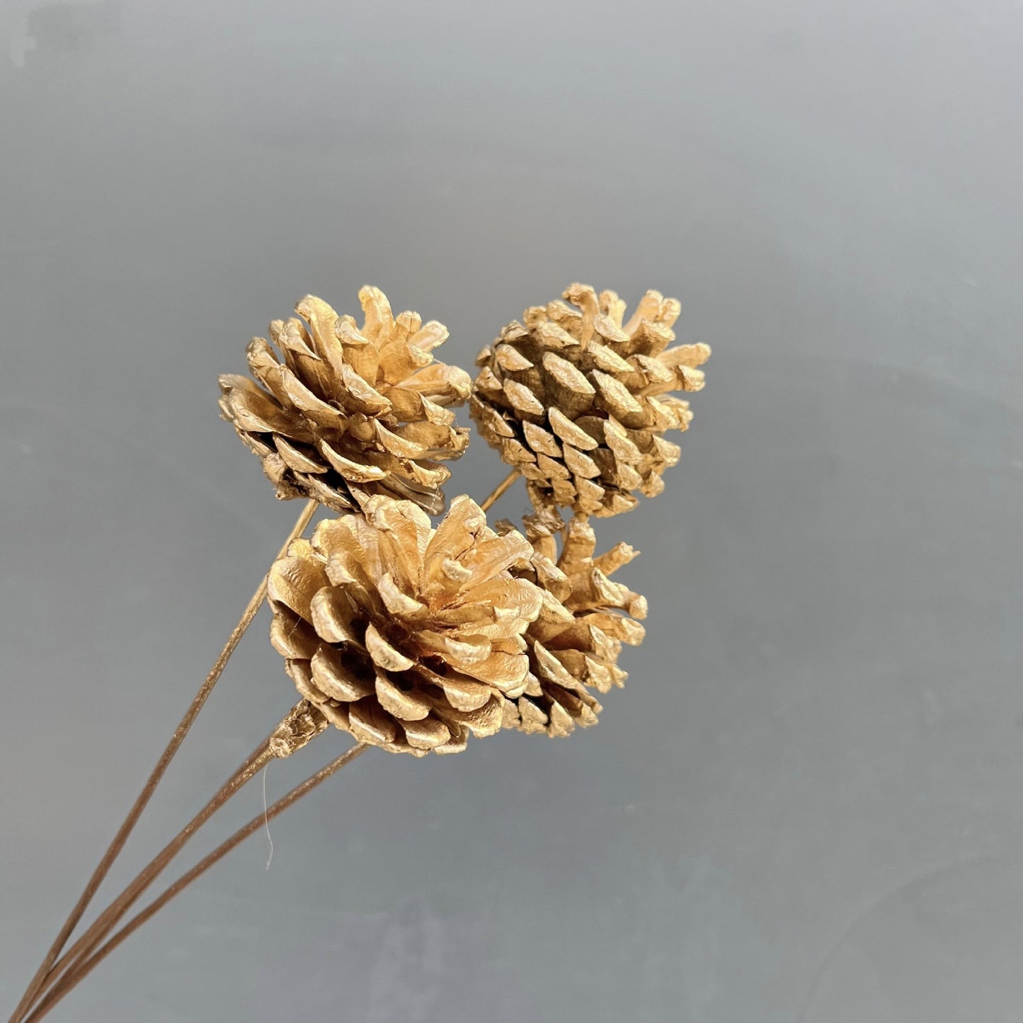 Natural Golden Dried Flowers for Home Decor